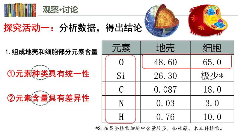 2.1 细胞中的元素和化合物 课件03
