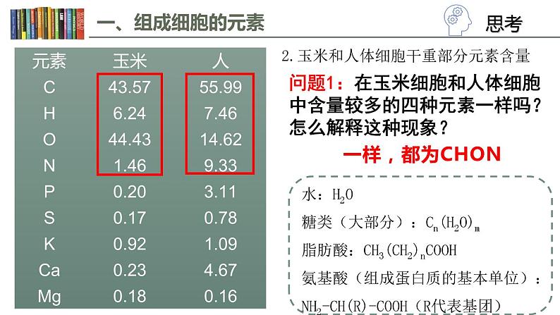2.1 细胞中的元素和化合物 课件04