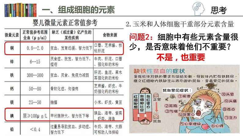2.1 细胞中的元素和化合物 课件05
