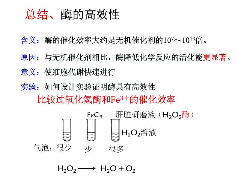 5.1降低化学反应活化能的酶 课件04