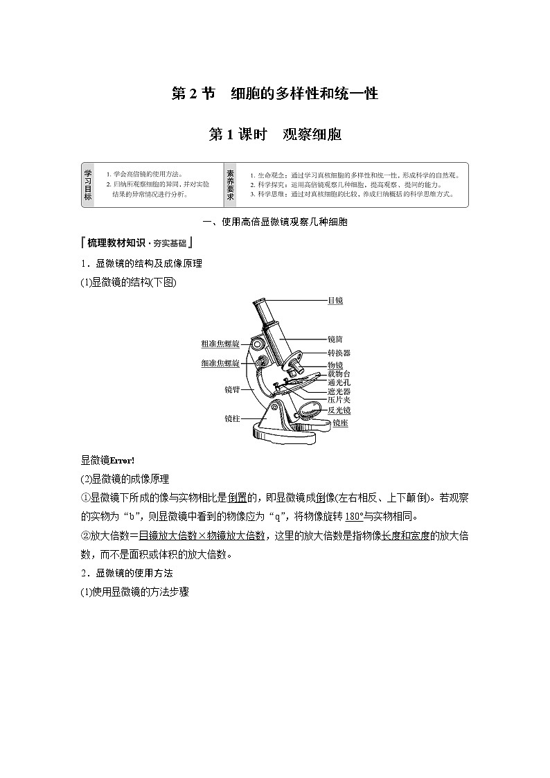 第1章第2節(jié)第1課時觀察細(xì)胞第1頁