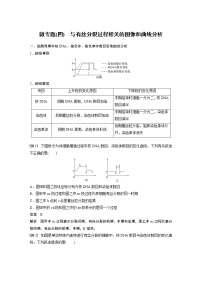 高中生物人教版 (2019)必修1《分子与细胞》第4节 蛋白质是生命活动的主要承担者学案