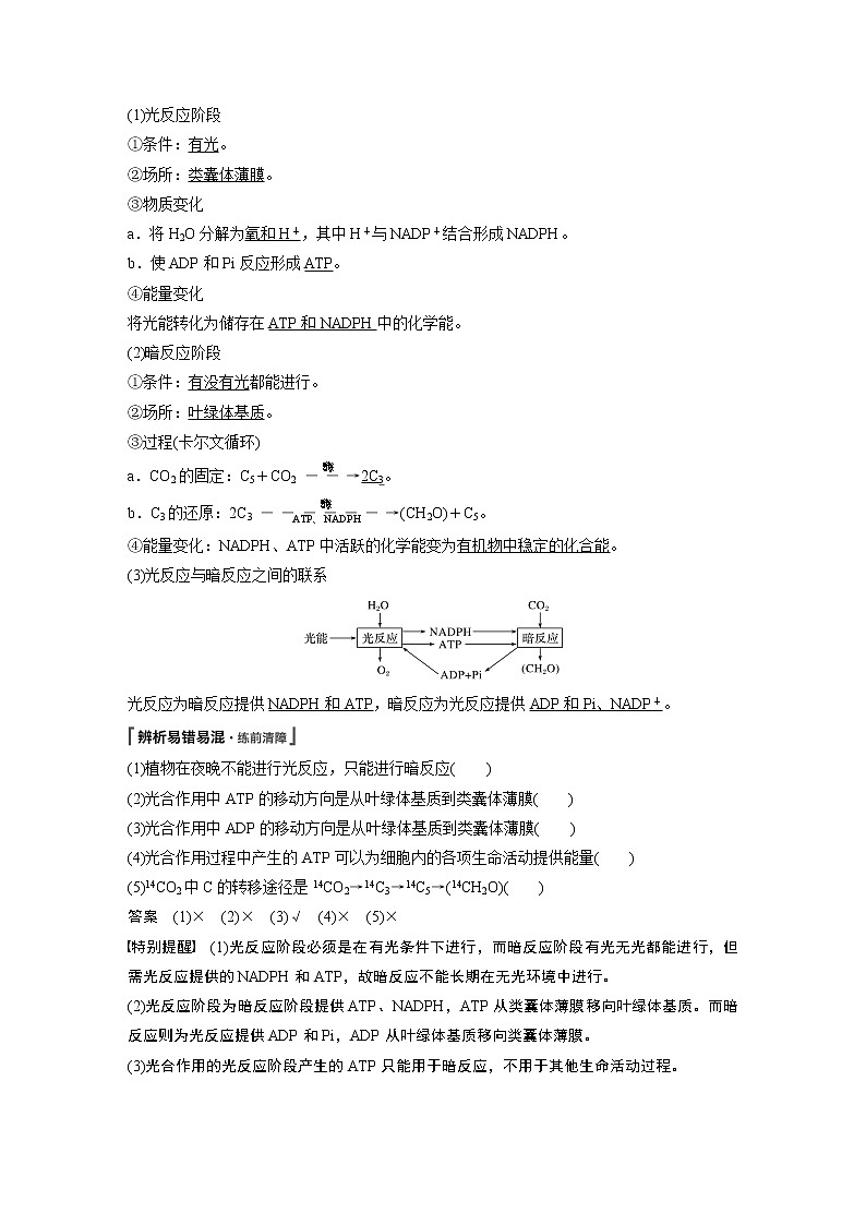 第5章第4节第2课时光合作用的原理 学案02