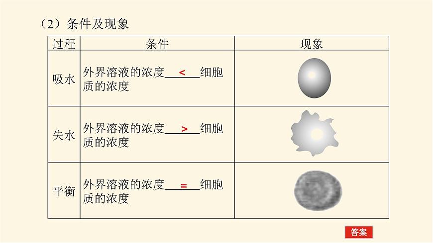 4.1第5頁