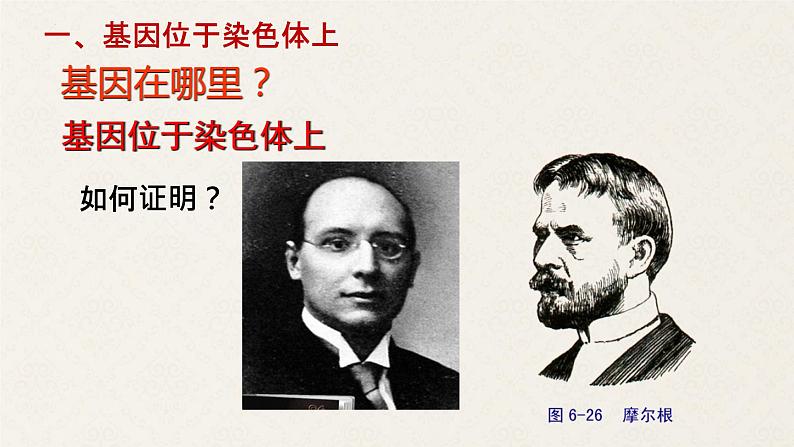 2022届高三生物一轮复习课件:基因在染色体上和伴性遗传第3页
