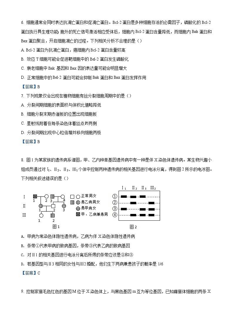 2023届河南省高三上学期第一次摸底考试生物含答案第3页