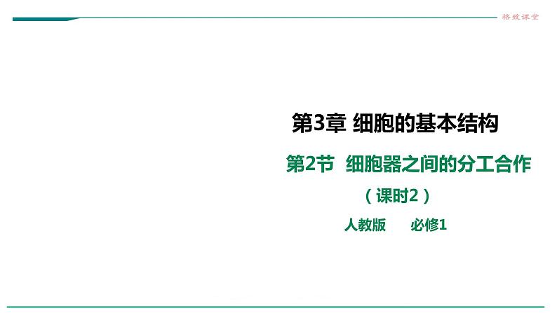 高中生物必修一 3.2细胞器之间的分工合作(课时 课件01
