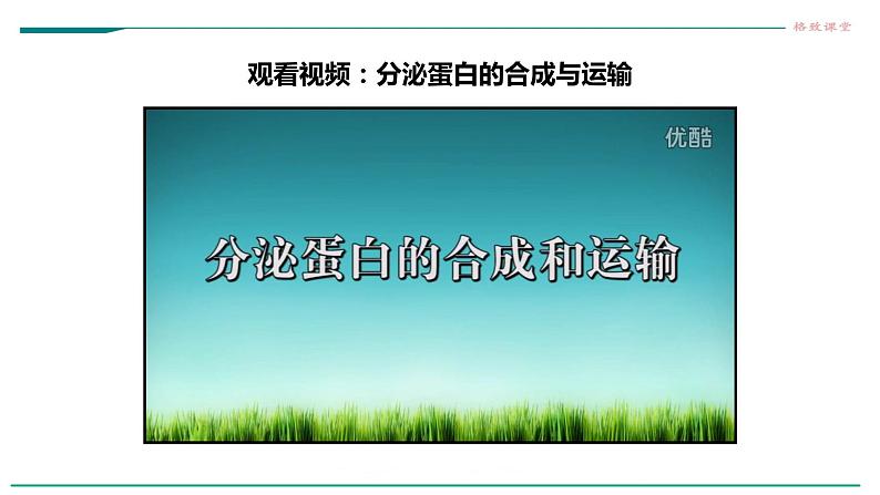 高中生物必修一 3.2细胞器之间的分工合作(课时 课件07