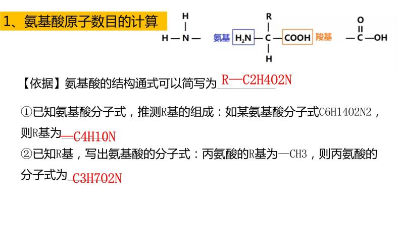 高中生物必修一 2.4蛋白质的计算专题 课件-2021-2022学年高一上学期02