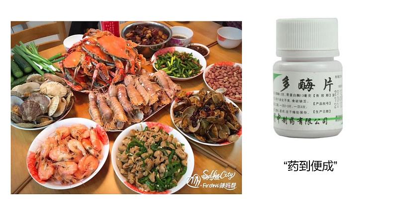 高中生物必修一 5.1降低化学反应活化能的酶-1 课件01