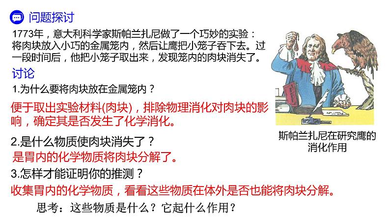 高中生物必修一 5.1降低化学反应活化能的酶-1 课件03