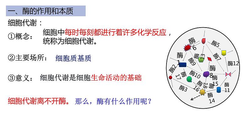高中生物必修一 5.1降低化学反应活化能的酶-1 课件04