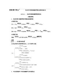 高中生物人教版 (2019)必修1《分子与细胞》第2节 细胞器之间的分工合作教学ppt课件