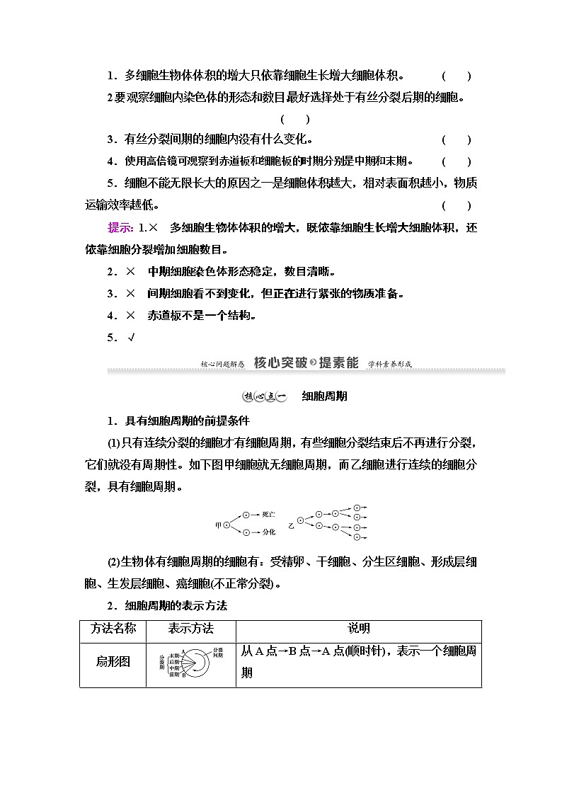 高中生物必修一 第6章 第1节 第1课时 细胞周期和高等植物细胞的有丝分裂 讲义第3页