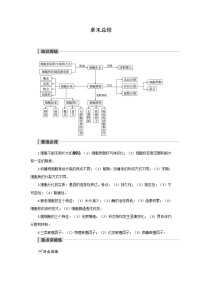 高中生物人教版 (2019)必修1《分子与细胞》第4节 蛋白质是生命活动的主要承担者教学课件ppt