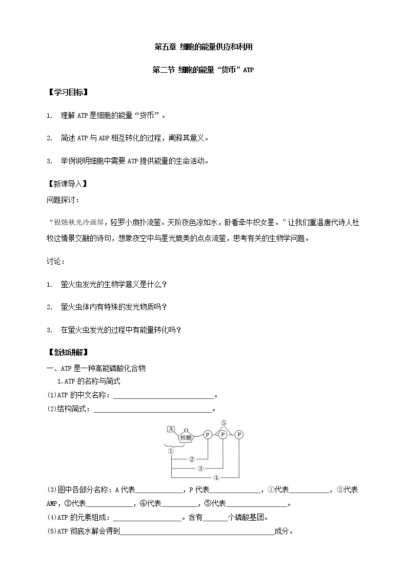 高中生物必修一 5.2细胞的能量“货币”ATP学学案01