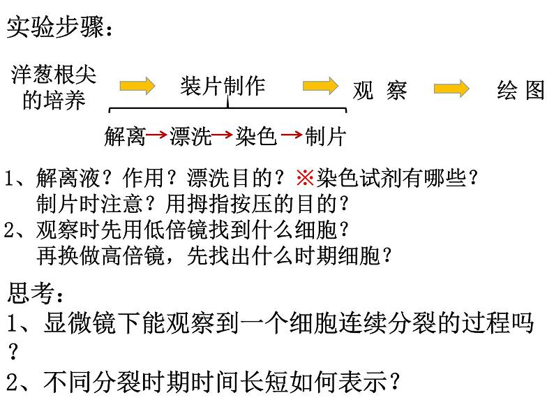2023届高考生物一轮复习课件细胞增殖06