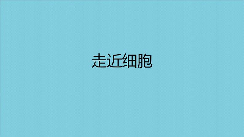 2023届高三一轮复习生物:走近细胞课件01