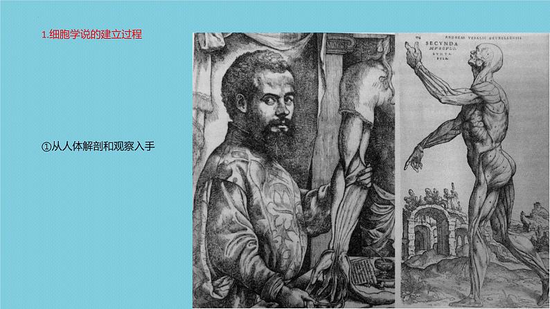 2023届高三一轮复习生物:走近细胞课件03