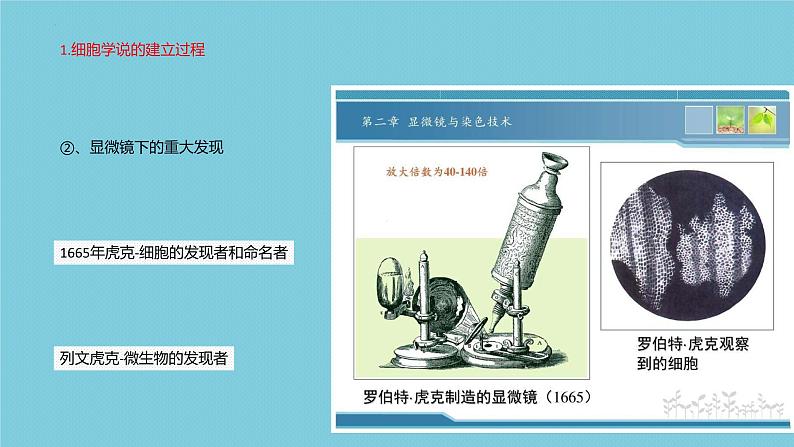 2023届高三一轮复习生物:走近细胞课件04