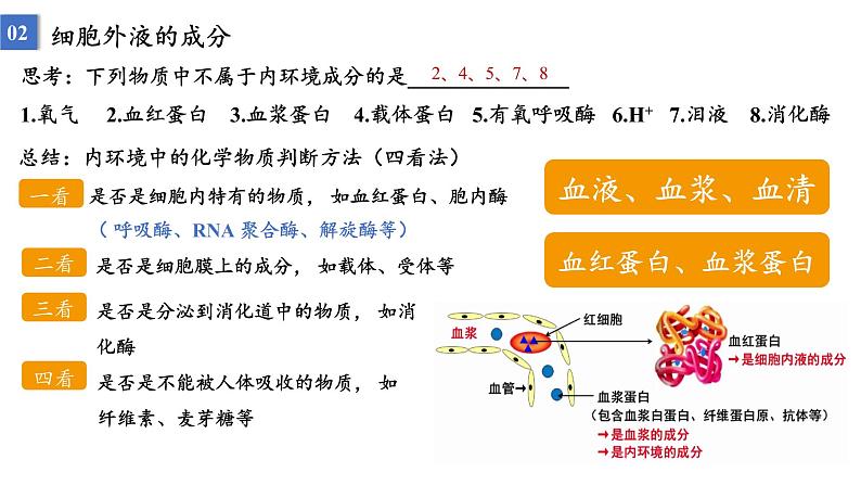 2023届高三生物一轮复习课件:人体的内环境与稳态第7页