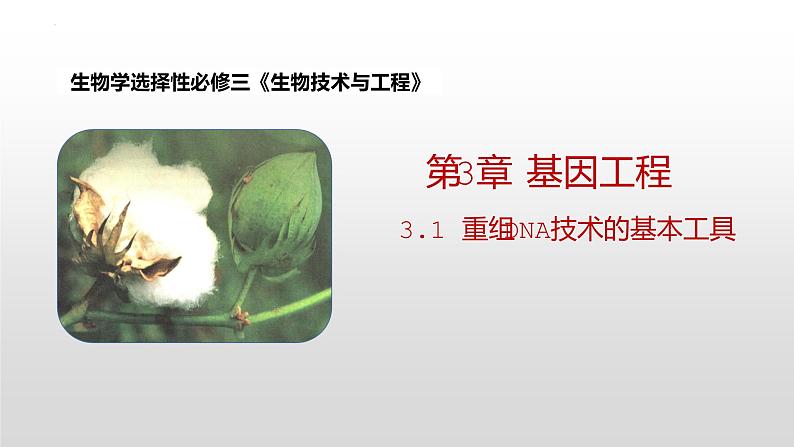 2022届高三生物一轮复习课件:重组DNA技术的基本工具01