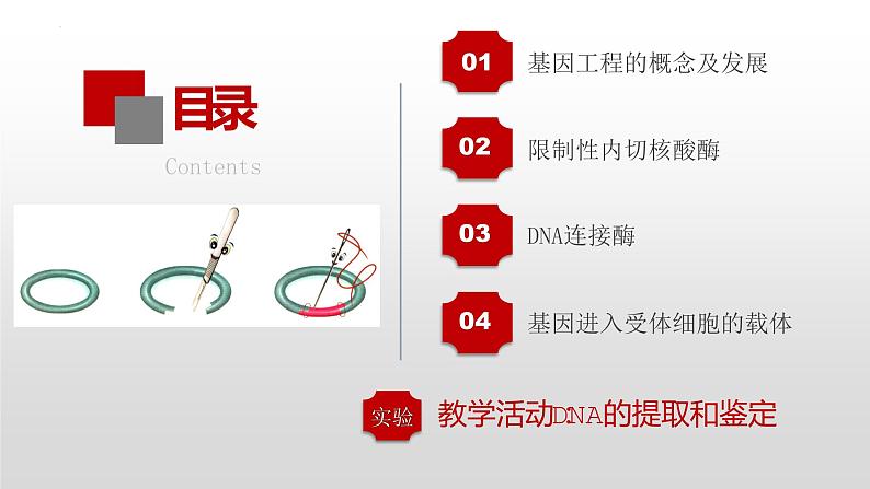 2022届高三生物一轮复习课件:重组DNA技术的基本工具03