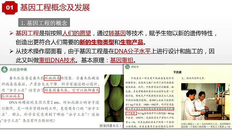 2022届高三生物一轮复习课件:重组DNA技术的基本工具04
