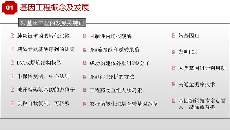 2022届高三生物一轮复习课件:重组DNA技术的基本工具06