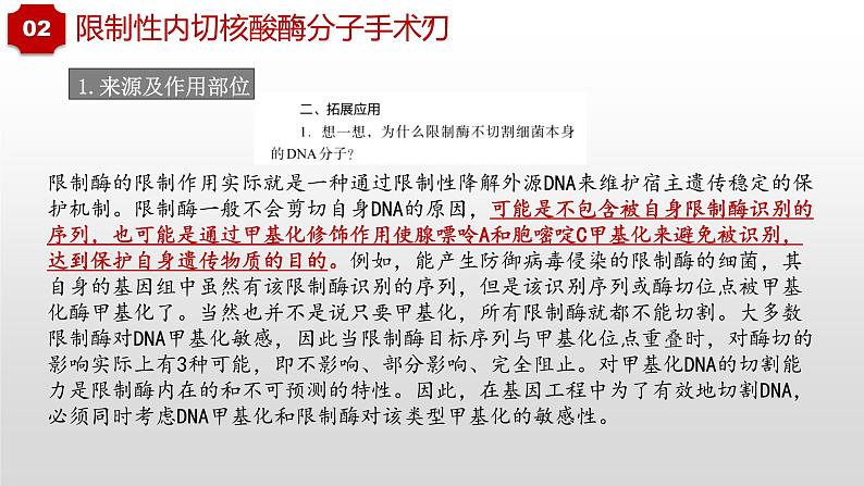 2022届高三生物一轮复习课件:重组DNA技术的基本工具08