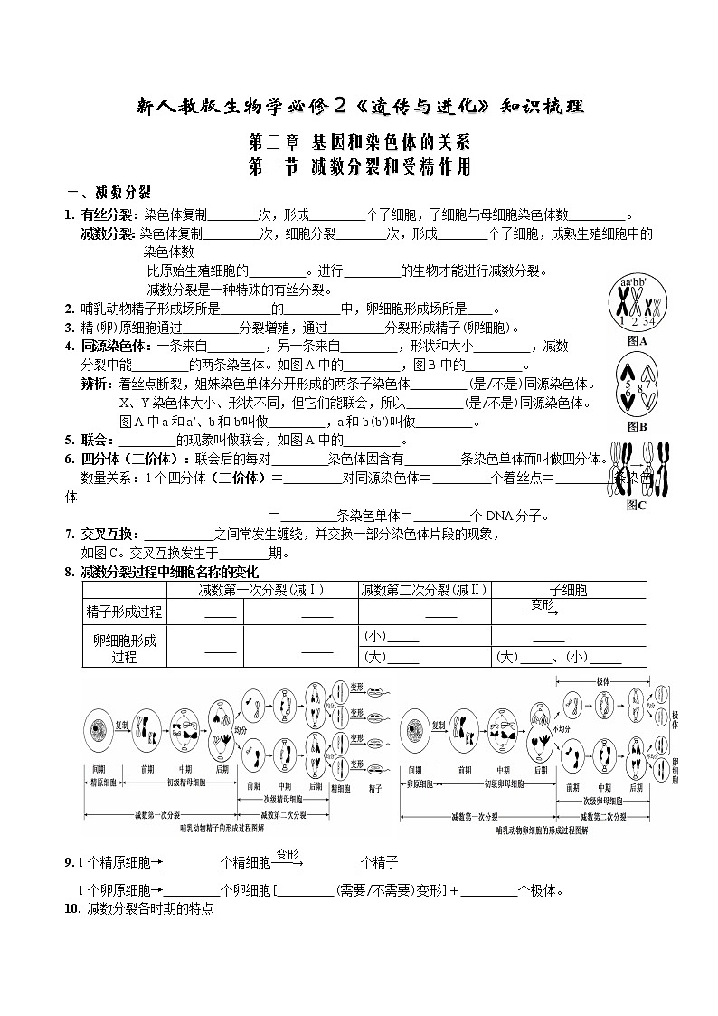 第二章 基因和染色体的关系-【必背知识】2021-2022学年高一生物章节知识清单(人教版2019必修2)(填空版)01