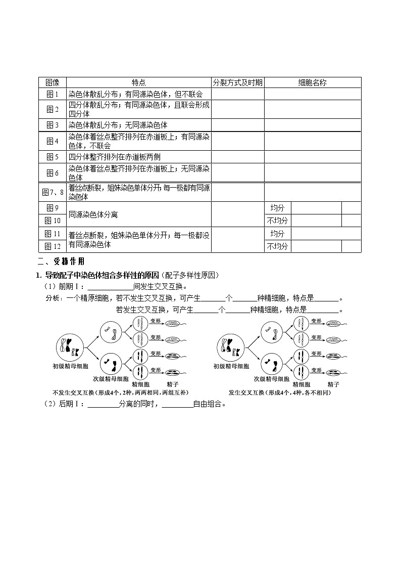 第二章 基因和染色体的关系-【必背知识】2021-2022学年高一生物章节知识清单(人教版2019必修2)(填空版)03