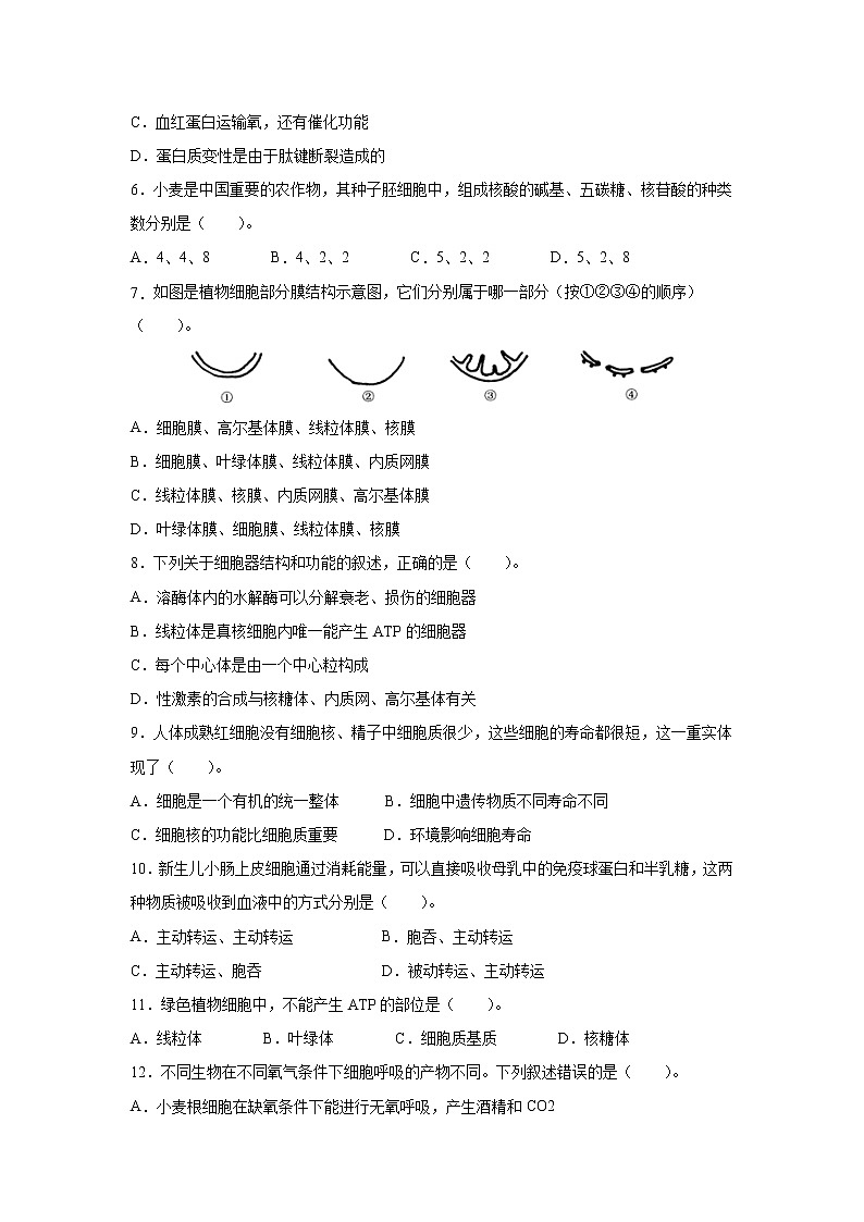 2022年6月福建省普通高中学业水平考试生物仿真模拟试卷05(无答案)02