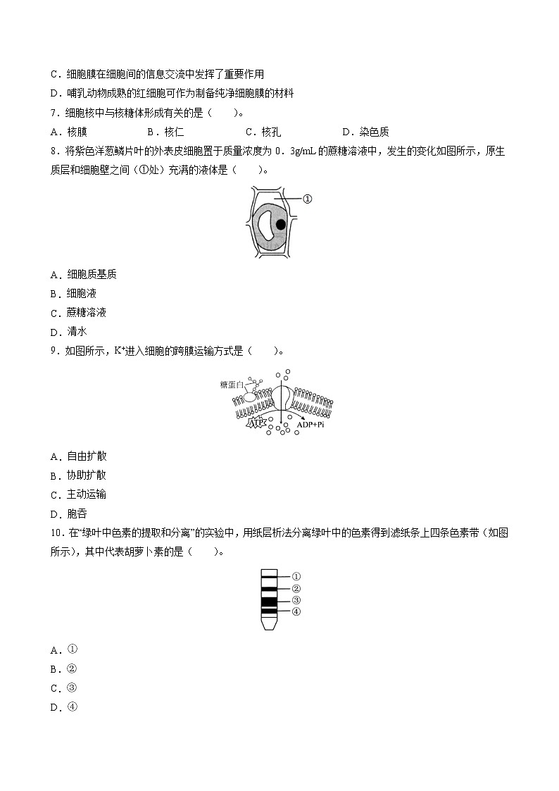 2022年6月福建省普通高中学业水平合格性考试生物仿真模拟试卷 01(含答案)第2页