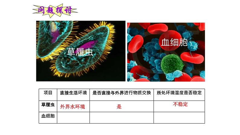 高中生物选择性必修一 高中生物 1.1 细胞生活的环境 课件(24张)02