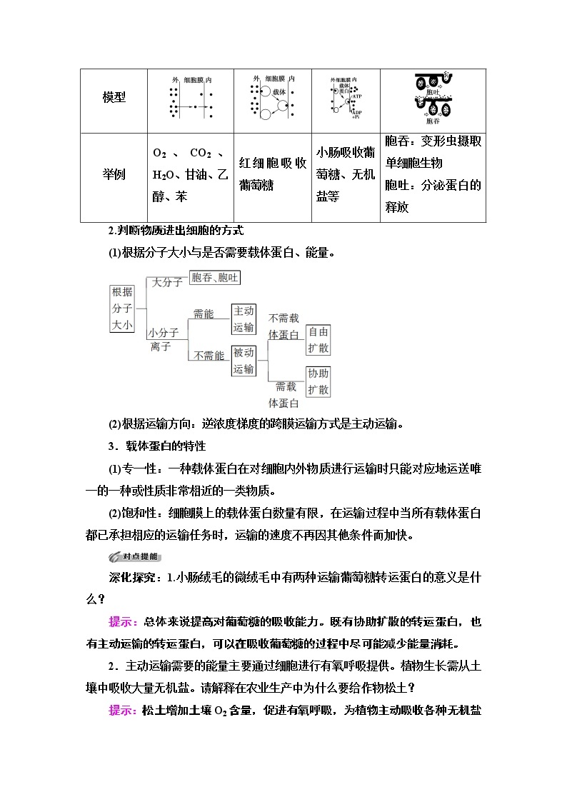 高中生物必修一 第4章 第2节　主动运输与胞吞、胞吐 讲义03