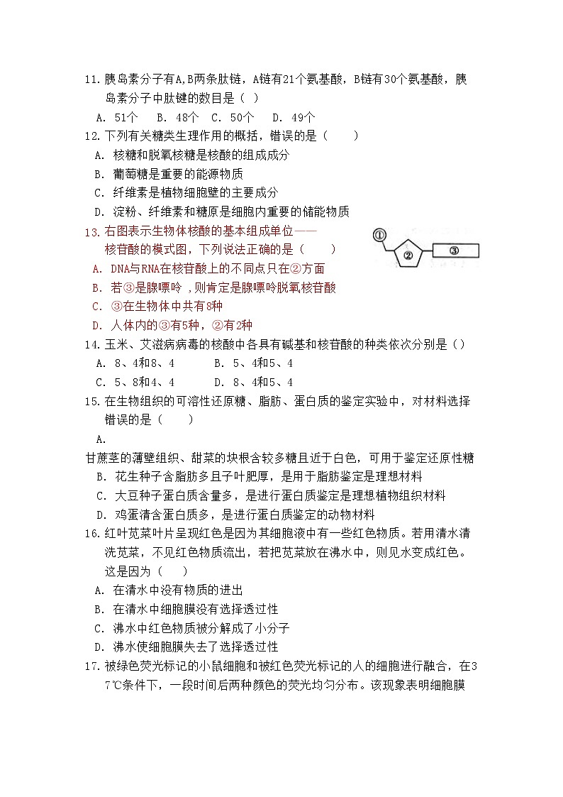 高中生物必修一 2019-2020学年海南省海口四中度第一学期期中考试高一年级生物试题03