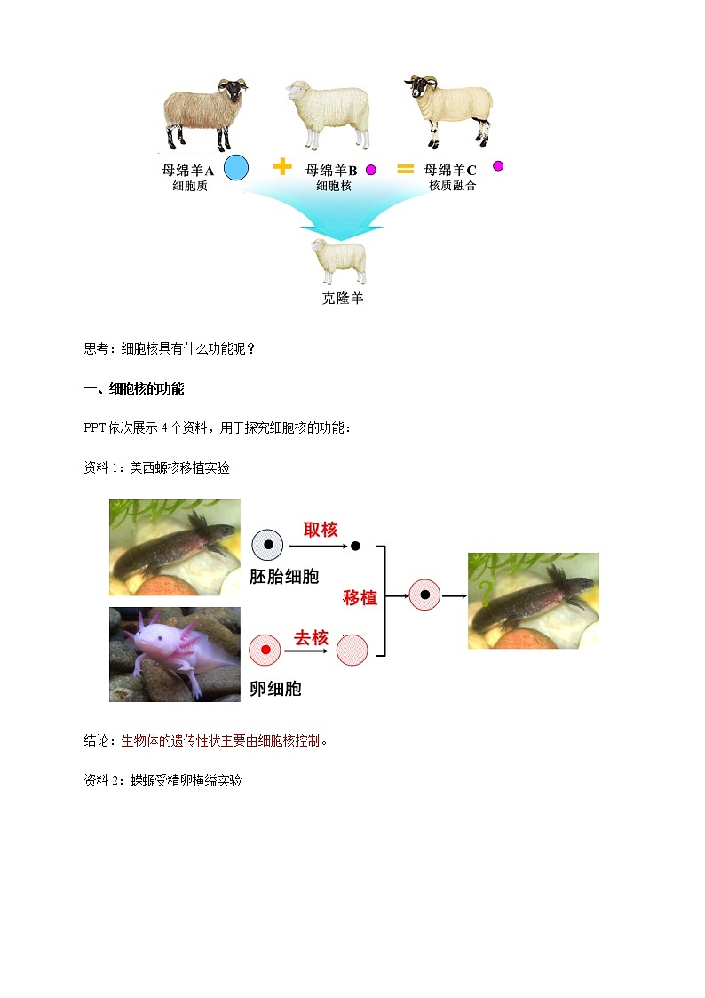高中生物必修一 《第3节 细胞核的结构和功能》公开课优秀教学案教学设计02