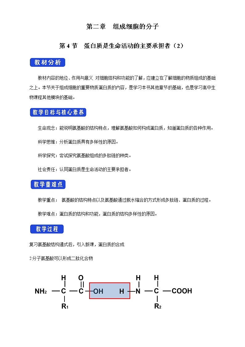 高中生物必修一 2.4.2 蛋白质是生命活动的主要承担者 教学设计第1页