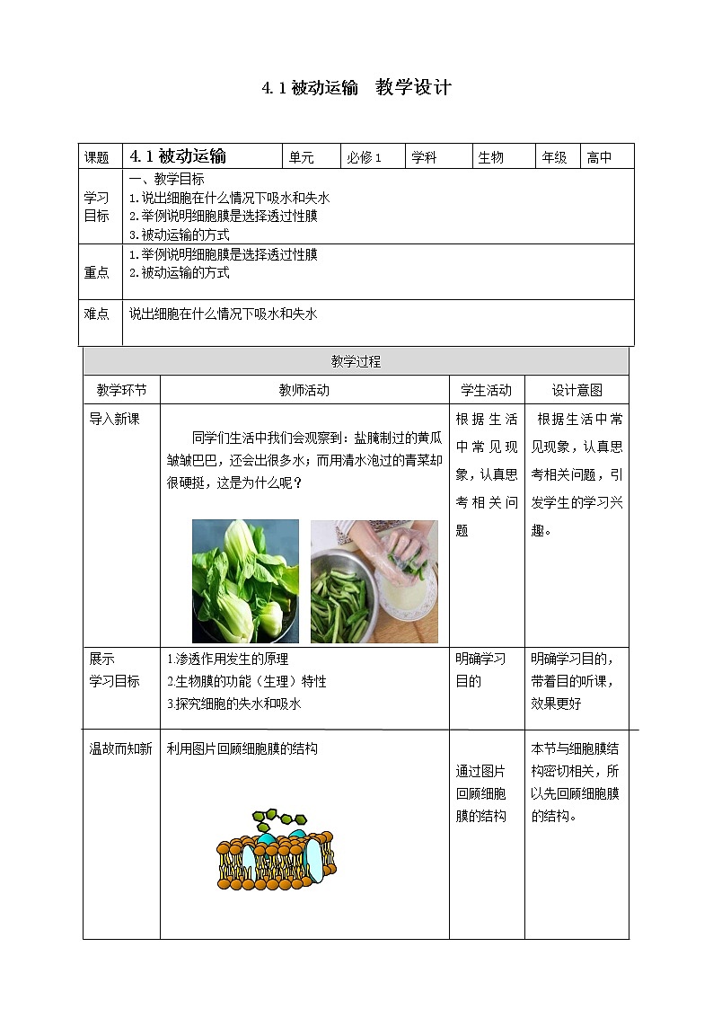 高中生物必修一 4.1被动运输 教学案01
