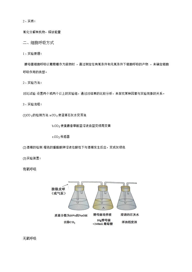 高中生物必修一 5.3 细胞呼吸的原理和应用 教学设计(第2页
