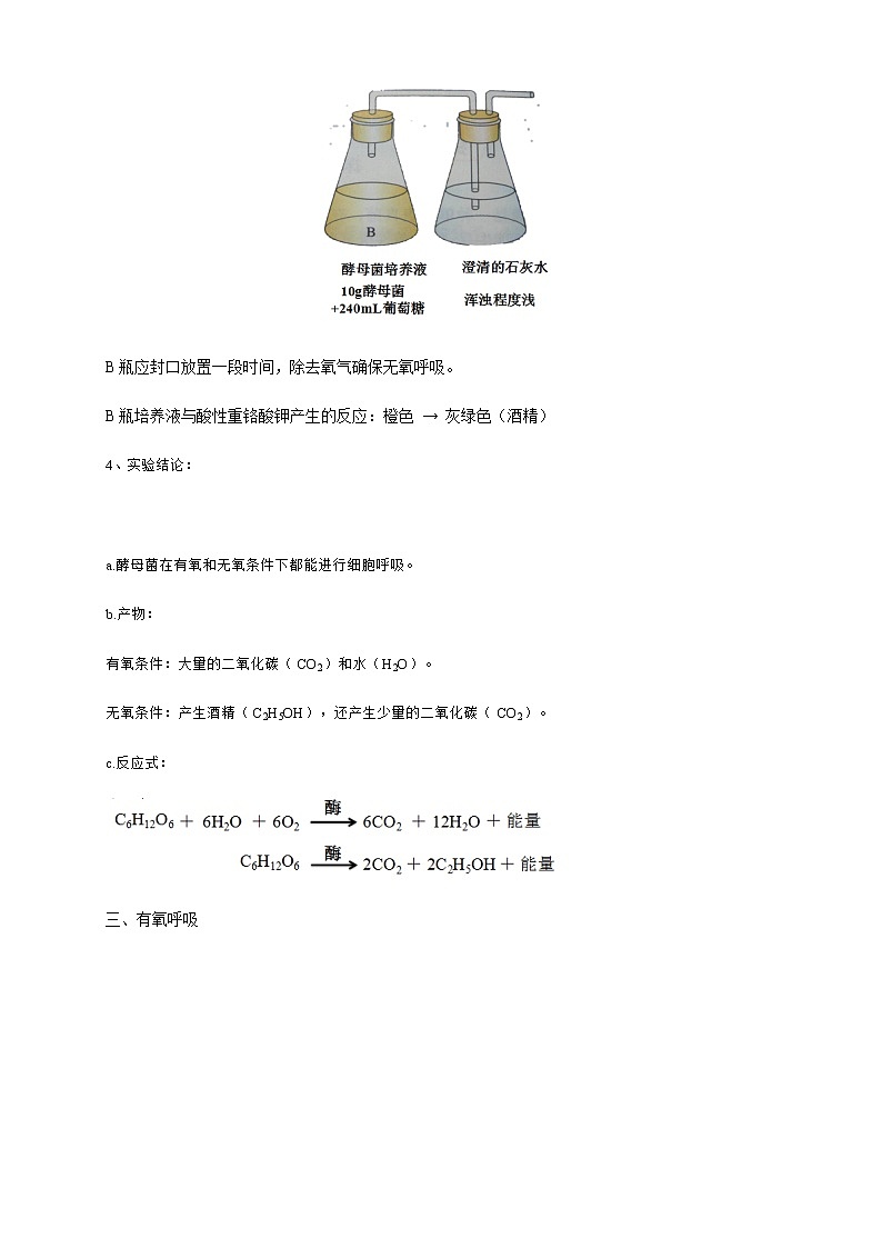 高中生物必修一 5.3 细胞呼吸的原理和应用 教学设计(第3页
