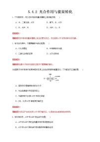 生物必修1《分子与细胞》第5章 细胞的能量供应和利用第4节 光合作用与能量转化二 光合作用的原理和应用巩固练习