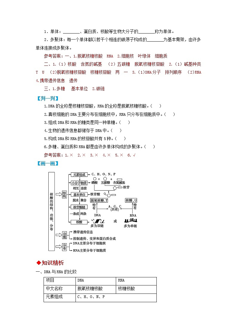 高中生物必修一 第07讲 核酸是遗传信息的携带者-2021-2022学年高一生物上学期同步精品讲义第2页