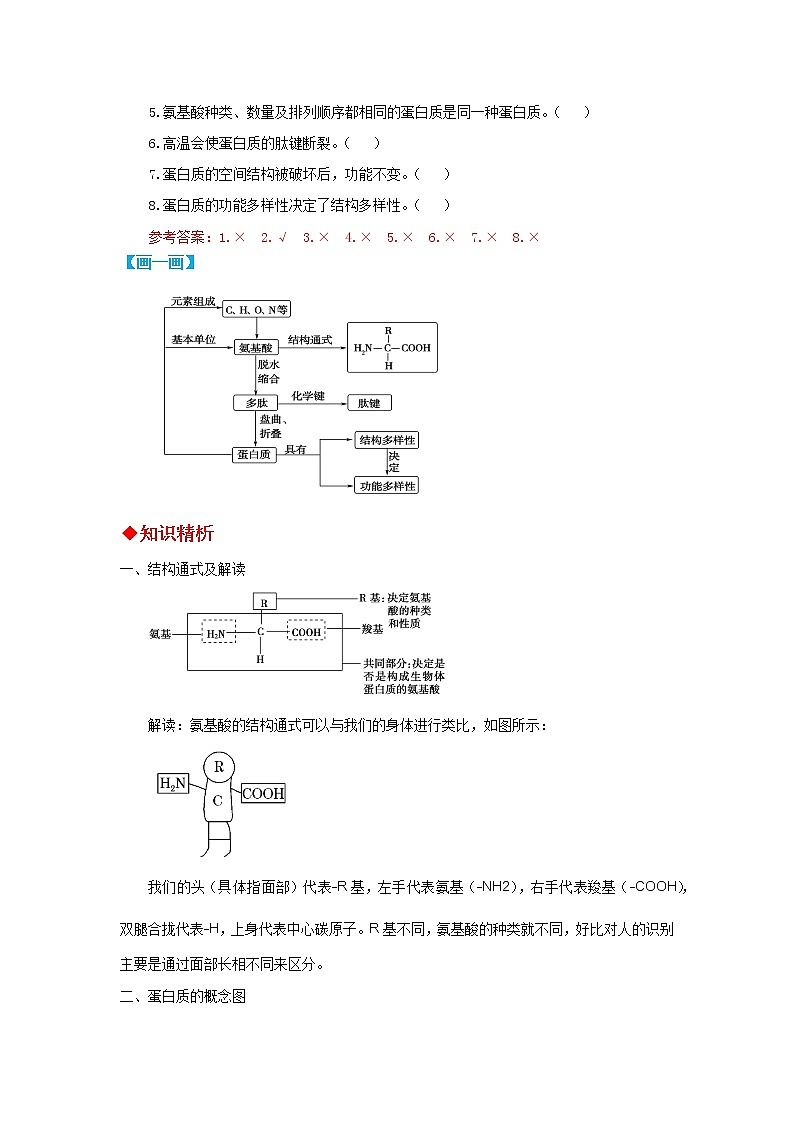 高中生物必修一 第06讲 蛋白质是生命活动的主要承担者-2021-2022学年高一生物上学期同步精品讲义第3页
