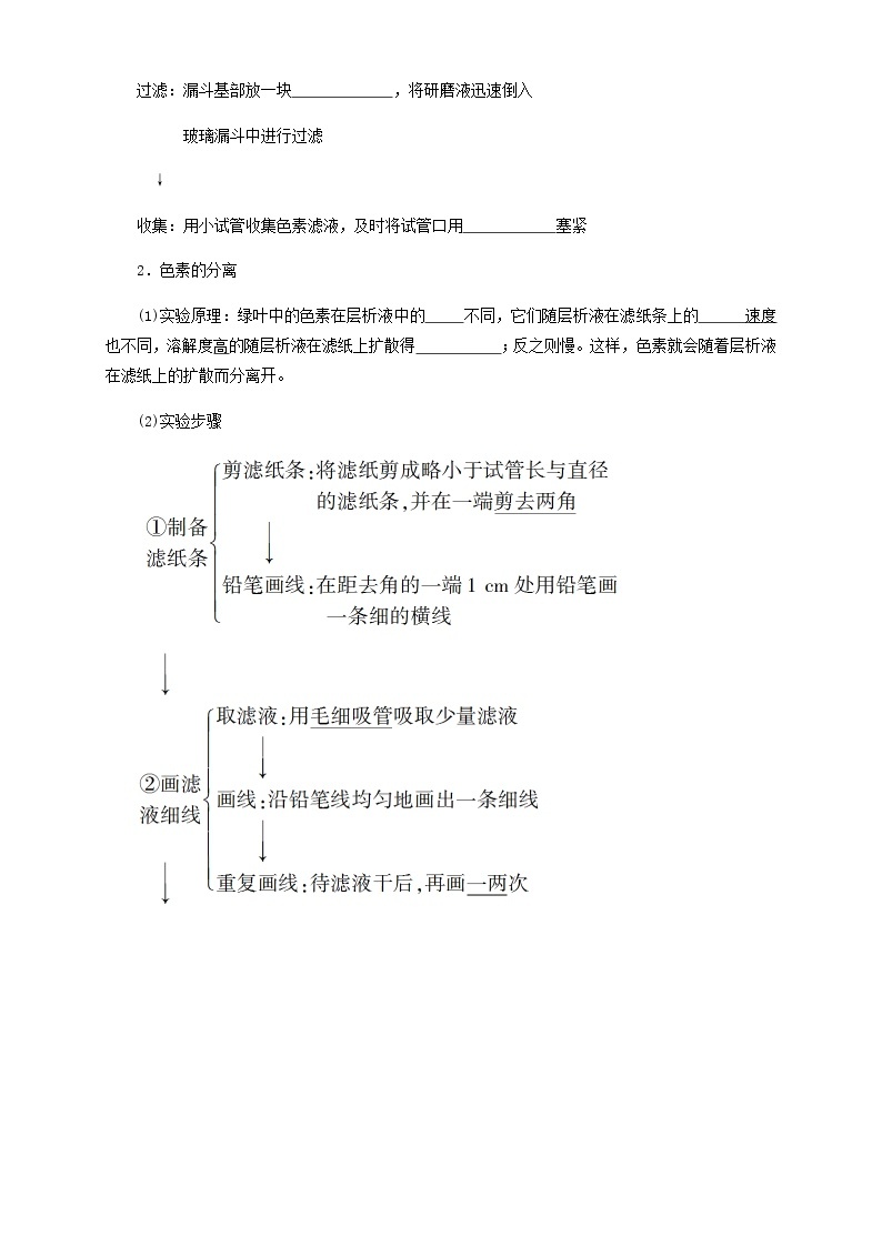 高中生物必修一 5.4.1 光合作用与能量转化 导学学案02