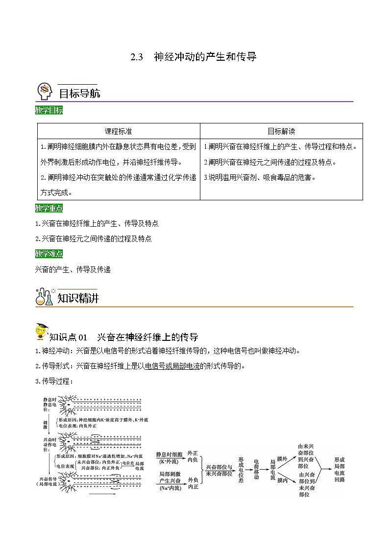 高中生物选择性必修一 2.3 神经冲动的产生和传导(含答案)(同步精品讲义第1页