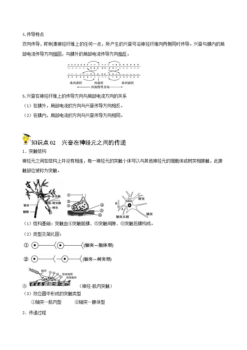 高中生物选择性必修一 2.3 神经冲动的产生和传导(含答案)(同步精品讲义第2页
