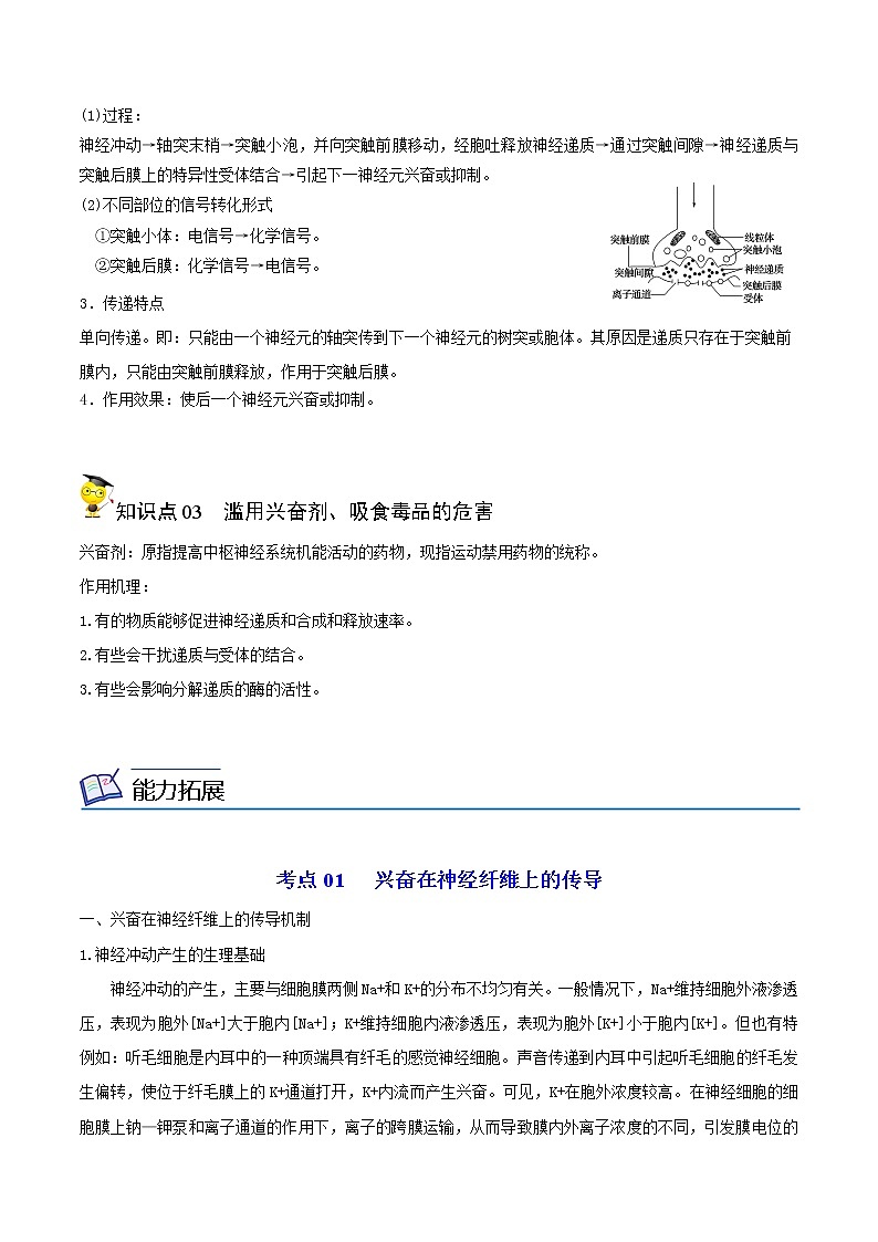 高中生物选择性必修一 2.3 神经冲动的产生和传导(含答案)(同步精品讲义第3页