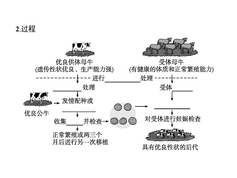 高中生物选择性必修三 第2章 第3节 二 胚胎工程技术及其应用第6页